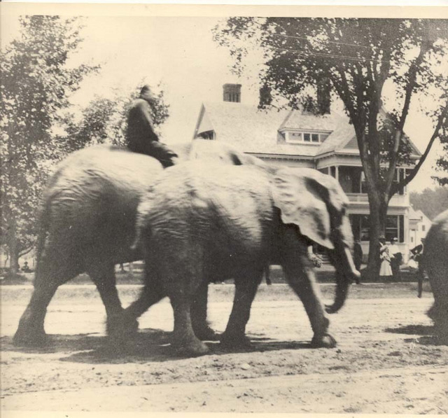 A circus parade passes by the present day Gibson Center. Circa 1900